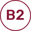 Vitamina B2 o Riboflavina