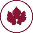 Vite rossa (Vitis vinifera)