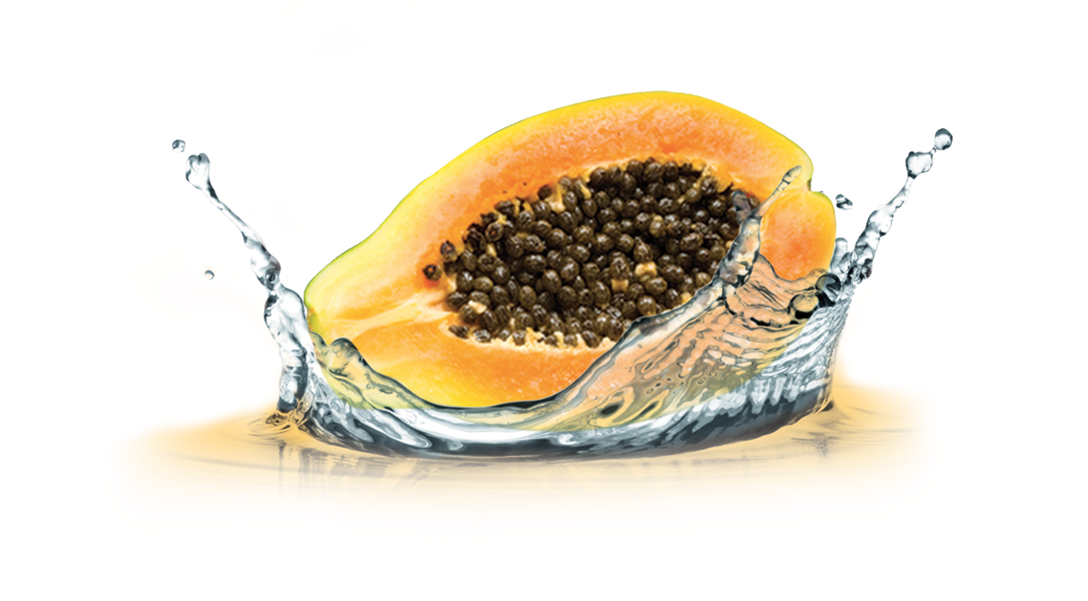 Papaya: elisir naturale.