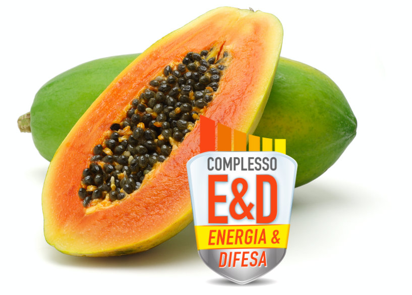 Complesso E&D: Energia & Difesa