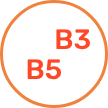 Vitamine del Gruppo B